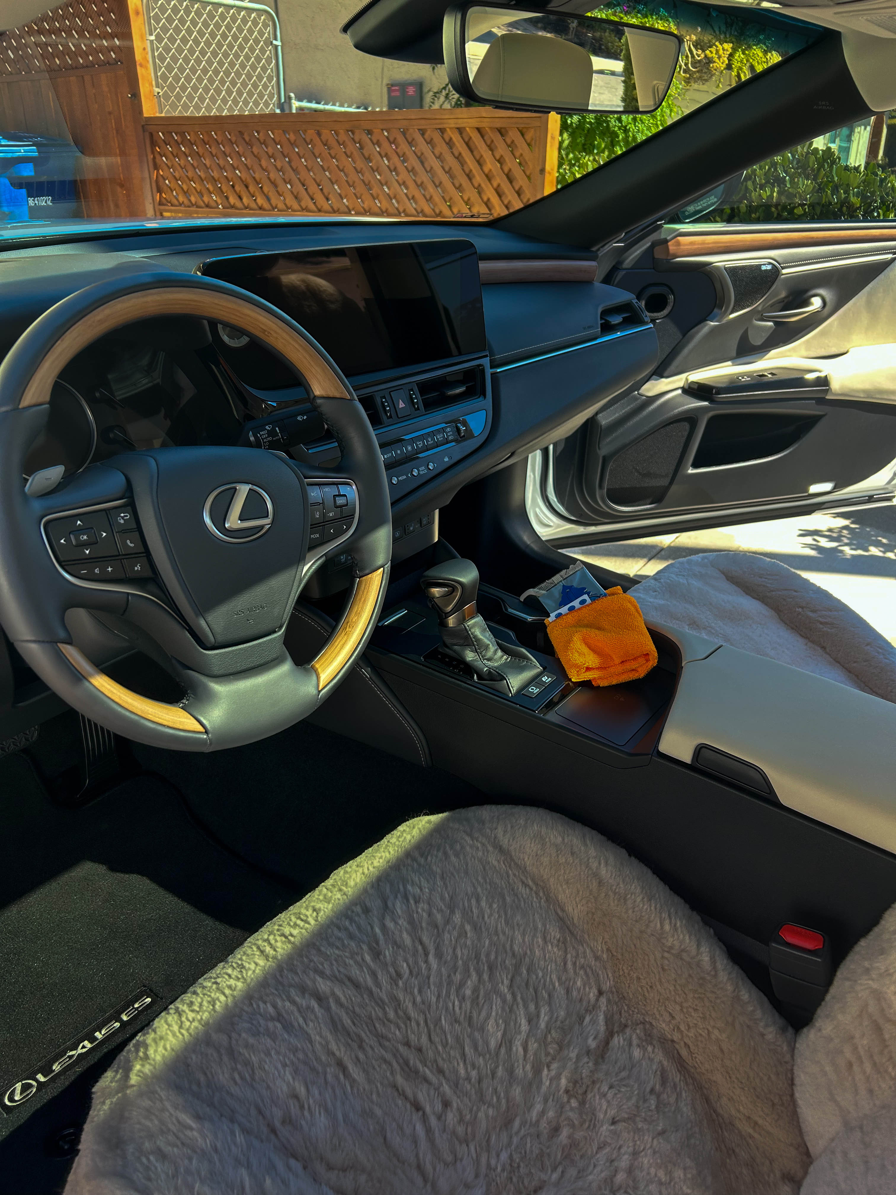 BM Detailz mobile auto detailing San Diego